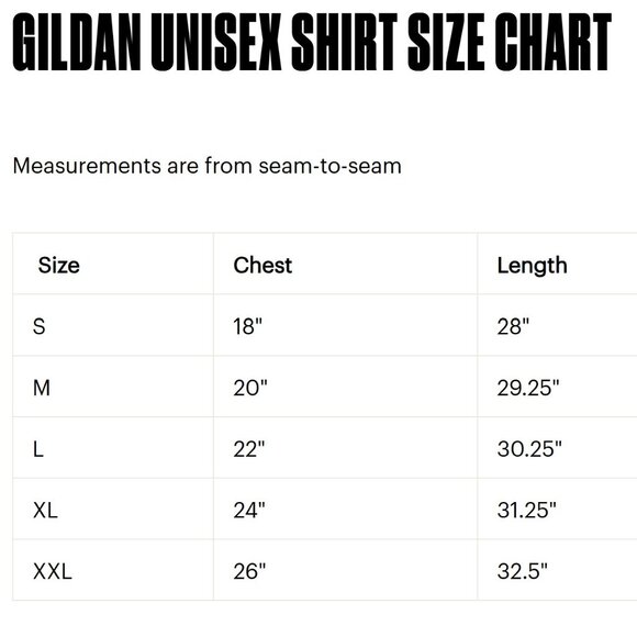 Soft and Comfortable FreeBird White Graphic T-Shirt. - Picture 3 of 3